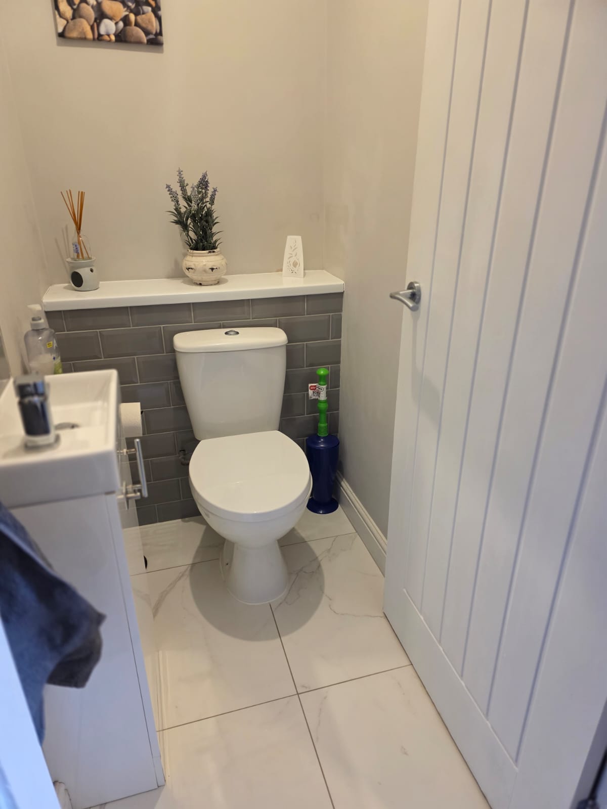 Spotless toilet and cloakroom